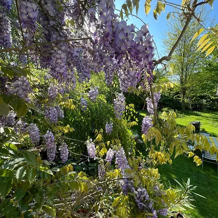 Appartement Altona Steinhude