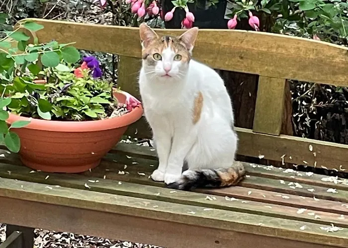 Apartment Altona Steinhude